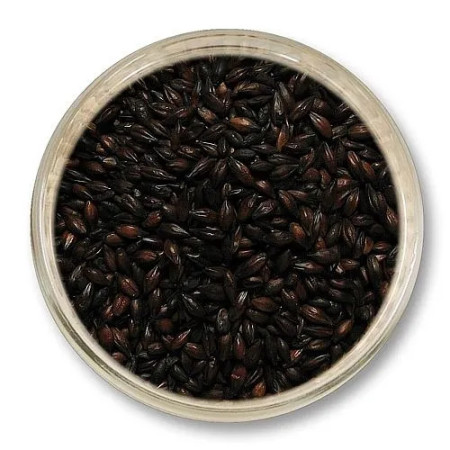 jeczmien palony do piwa - jeczmien prazony - ciemny jeczmien na piwo