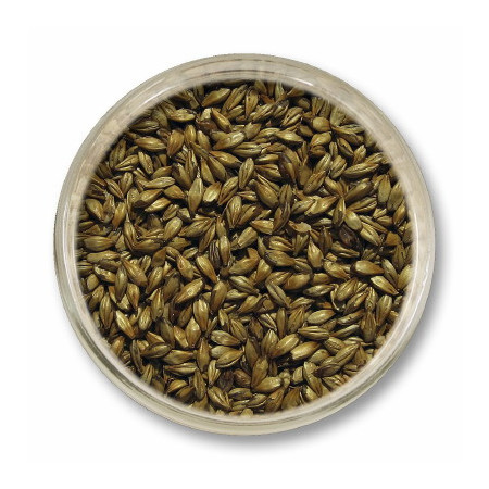 słód karmelowy 30 do piwa - słód karmelowy 30 strzegom - słody karmelowe strzegom do piwa