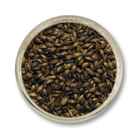 słód karmelowy 300 do piwa - słód karmelowy 300 strzegom - słody karmelowe strzegom do piwa