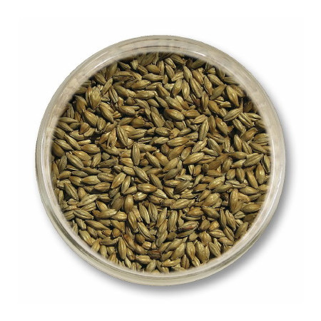 słód piwowarski pale ale - słody do piwa - słód weyermann pale ale - słody do domowego piwa