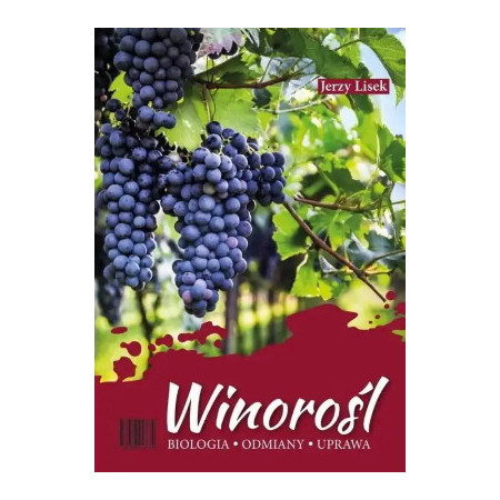 domowy wyrób alkoholi - przepisy na nalewkę - jak zrobić nalewki