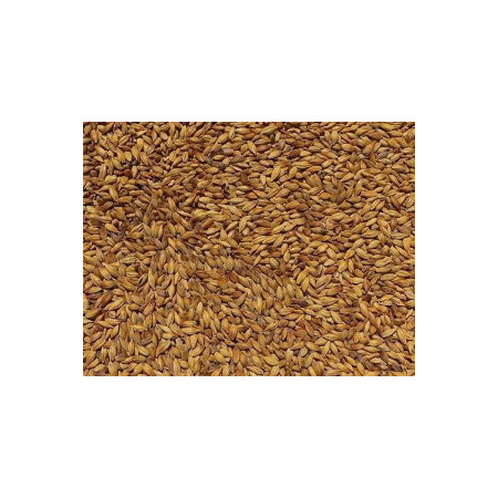 słód do piwa - słody do piwa - słody weyermann - słód caramunich