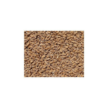 słód do piwa orkiszowy - słody weyermann do piwa - słód weyermann - słód orkiszowy