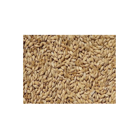 słód do piwa - słody do piwa - słody weyermann - słód carapils