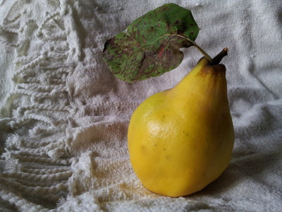 Pigwówka